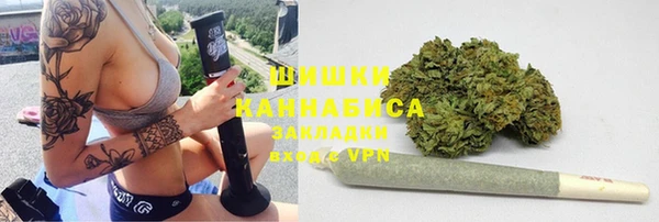 PSILOCYBIN Рославль