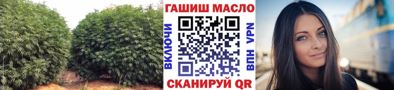 ТГК Wax  Пойковский 