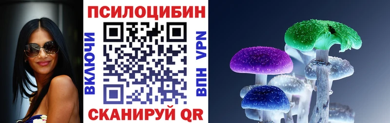 Псилоцибиновые грибы Psilocybine cubensis  KRAKEN ссылки  Пойковский 